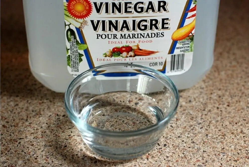 Will Vinegar Catch Fire? Is It Flammable?