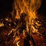 How Hot Does Wood Burn?