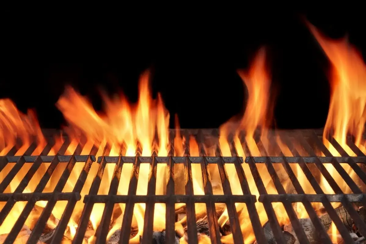 9 Best Campfire Grill Grates For Cooking Over Fire