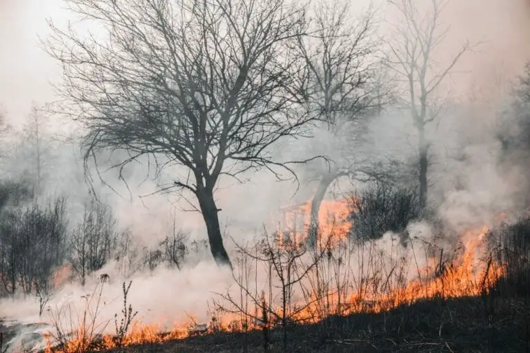 what-does-white-smoke-mean-in-a-fire