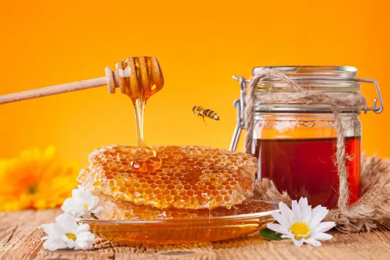 Is Honey Flammable Here s What You Need To Know Now